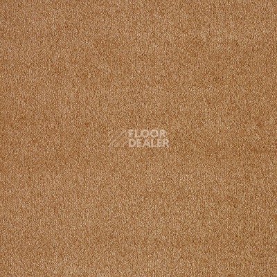 Ковролин AW Masquerade Fedone 80 фото 1 | FLOORDEALER