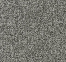 Ковролин Vorwerk Passion 1002 Vorwerk 5n12 фото 1 | FLOORDEALER