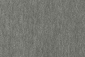 Ковролин Vorwerk Passion 1002 Vorwerk 5n12 фото  | FLOORDEALER