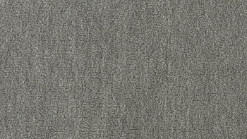 Ковролин Vorwerk Passion 1002 Vorwerk 5n12 фото 1 | FLOORDEALER