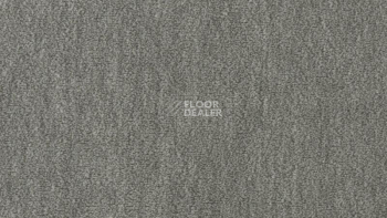 Ковролин Vorwerk Passion 1002 Vorwerk 5n12 фото 1 | FLOORDEALER