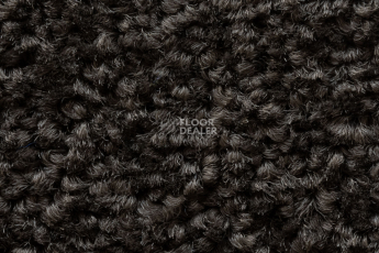 Balsan Serenite 770 фото 4 | FLOORDEALER