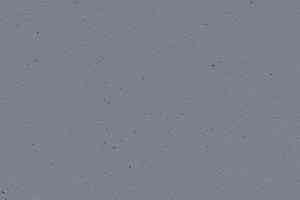 Линолеум Forbo Marmoleum Decibel on Order 358635 indigo milk фото  | FLOORDEALER