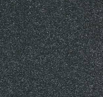 Ковролин AW VivendiI Aaura 74 фото 1 | FLOORDEALER