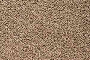 Ковролин Best Wool Pure Brunel  d40008 фото  | FLOORDEALER