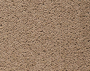 Ковролин Best Wool Pure Brunel  d40008 фото 1 | FLOORDEALER