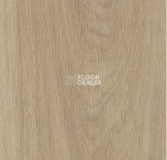 Кварцвиниловые полы Forbo allura decibel 0.8 wood 5503LAD8 sun-bleached serene oak (150x20 cm) фото 1 | FLOORDEALER