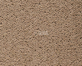 Ковролин Best Wool Pure Brunel  d40008 фото 1 | FLOORDEALER
