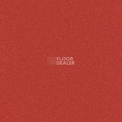 Линолеум Tarkett iq Melodia 2634 фото 1 | FLOORDEALER