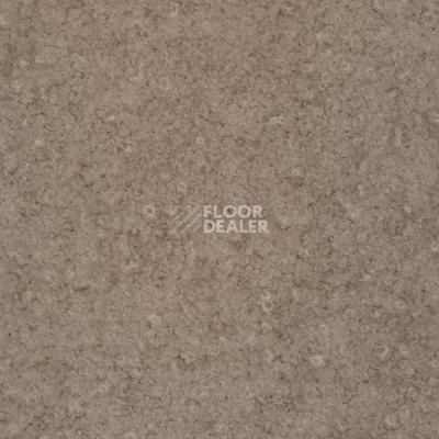 Линолеум Grabo Acoustic 7 Colour 383_674_275 фото 1 | FLOORDEALER