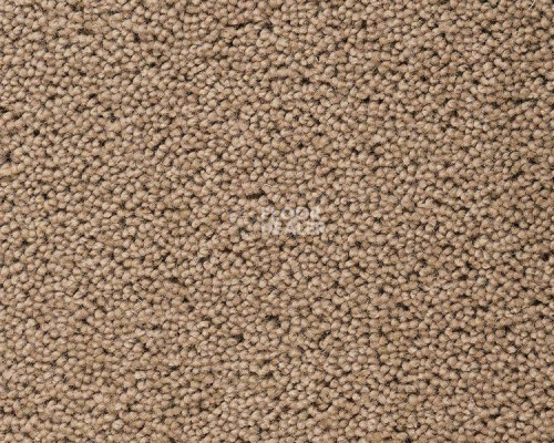 Ковролин Best Wool Pure Brunel  d40008 фото 1 | FLOORDEALER