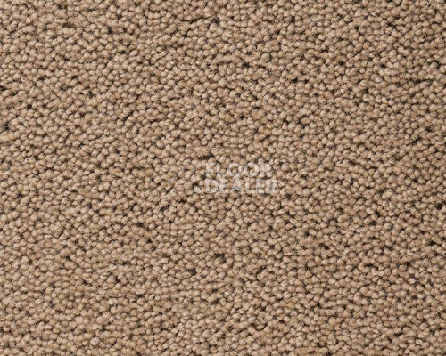 Ковролин Best Wool Pure Brunel  d40008 фото 1 | FLOORDEALER