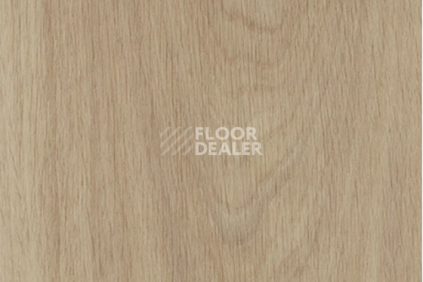 Виниловая плитка ПВХ FORBO allura decibel 0.8 wood 5503LAD8 sun-bleached serene oak (150x20 cm) фото 1 | FLOORDEALER