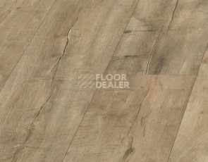 Kronopol Platinium Terra AQUA BLOCK 8mm Kronopol Platinium Terra Aqua Block 24h Дуб Амальфи D4915 фото 4 | FLOORDEALER