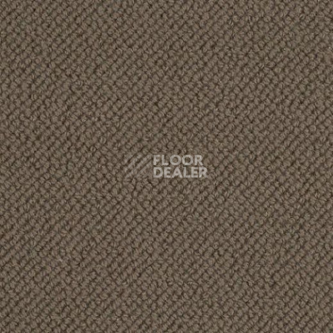 Ковролин Lano Oasis 280 фото 1 | FLOORDEALER