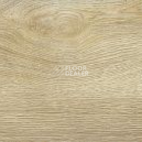 FineFloor FF-1200 Strong 1266 Дуб Авива фото 2 | FLOORDEALER