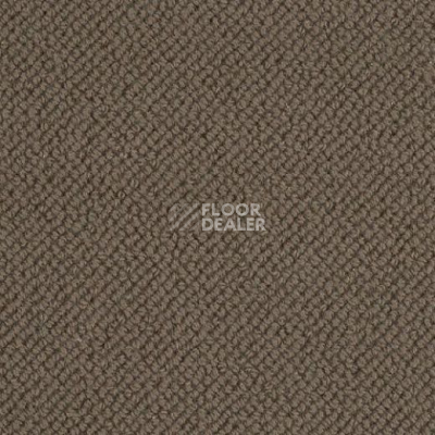 Ковролин Lano Oasis 280 фото 1 | FLOORDEALER