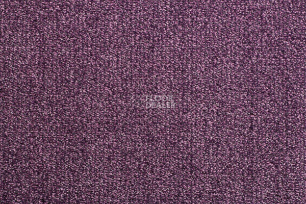 Ковролин Sintelon Dragon 47831 фото 1 | FLOORDEALER