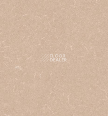 Линолеум Grabo Silver Knight Acoustic 9 455_865.2538 фото 1 | FLOORDEALER