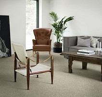 AW Invictus Atticus Atticus 03 фото 2 | FLOORDEALER