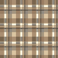 Ковролин Agnella Natural Pane Grey фото 1 | FLOORDEALER