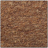 Ковролин AW Medusa 84 фото 1 | FLOORDEALER