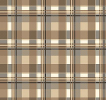 Ковролин Agnella Natural Pane Grey фото 1 | FLOORDEALER