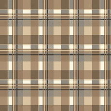 Ковролин Agnella Natural Pane Grey фото 1 | FLOORDEALER