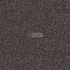 Ковролин Associated Weavers Maxima 40 фото 1 | FLOORDEALER