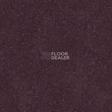 Линолеум Grabo Silver Knight Acoustic 7 455_883-5068 фото 1 | FLOORDEALER