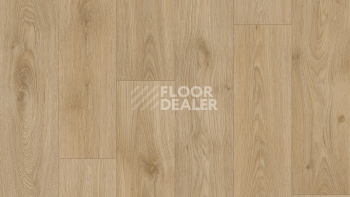 Линолеум Tarkett Craft Tomas 5 фото 1 | FLOORDEALER