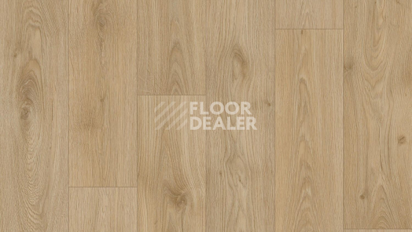 Линолеум Tarkett Craft Tomas 5 фото 1 | FLOORDEALER