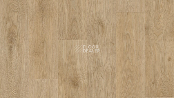 Линолеум Tarkett Craft Tomas 5 фото 1 | FLOORDEALER