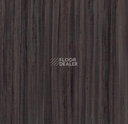 Линолеум Forbo Marmoleum Неожиданная природа 3577 фото 1 | FLOORDEALER