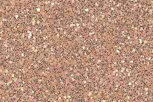 Линолеум Polyflor Polysafe Vogue Ultra Pur 4690 фото  | FLOORDEALER