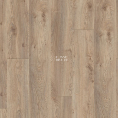 Kronotex Mammut Plus d3669 Дуб Макро Бежевый фото 5 | FLOORDEALER