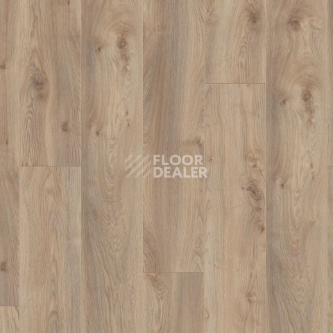 Kronotex Mammut Plus d3669 Дуб Макро Бежевый фото 5 | FLOORDEALER