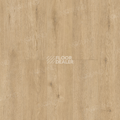 Кварцвиниловые полы Norland Sigrid 3.5мм 1001-03  DOR фото 1 | FLOORDEALER