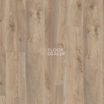 Ламинат Kronotex Mammut Plus d3669 Дуб Макро Бежевый фото 5 | FLOORDEALER