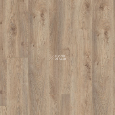 Ламинат Kronotex Mammut Plus d3669 Дуб Макро Бежевый фото 5 | FLOORDEALER