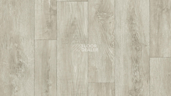 Линолеум Tarkett Gladiator DIAKIRI 1 фото 1 | FLOORDEALER