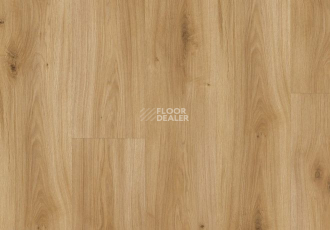 Parador Basic Plus 400 V 1593797 Дуб Горизонт фото 2 | FLOORDEALER