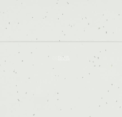 Forbo Sphera Energetic 50230 polar фото 2 | FLOORDEALER