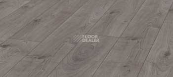 Ламинат Kronotex Mammut d3178 Дуб Эверест Серый фото 1 | FLOORDEALER