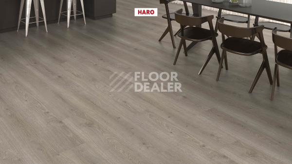 Ламинат Haro Tritty 200 Aqua 4V Дуб Флавия Серый 544760 фото 3 | FLOORDEALER