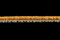 Escom Object 64049 фото 3 | FLOORDEALER