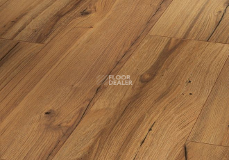 Ламинат Parador Basic Plus 200 V 1593998 Дуб History фото 1 | FLOORDEALER