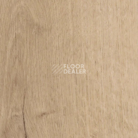 Кварцвиниловые полы AW Invictus Primus Plank Royal Oak Blonde фото 1 | FLOORDEALER