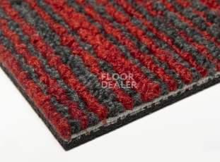 Balsan Trust 570 фото 5 | FLOORDEALER