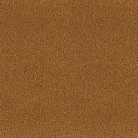 Desso Asteranne 2058 фото 1 | FLOORDEALER
